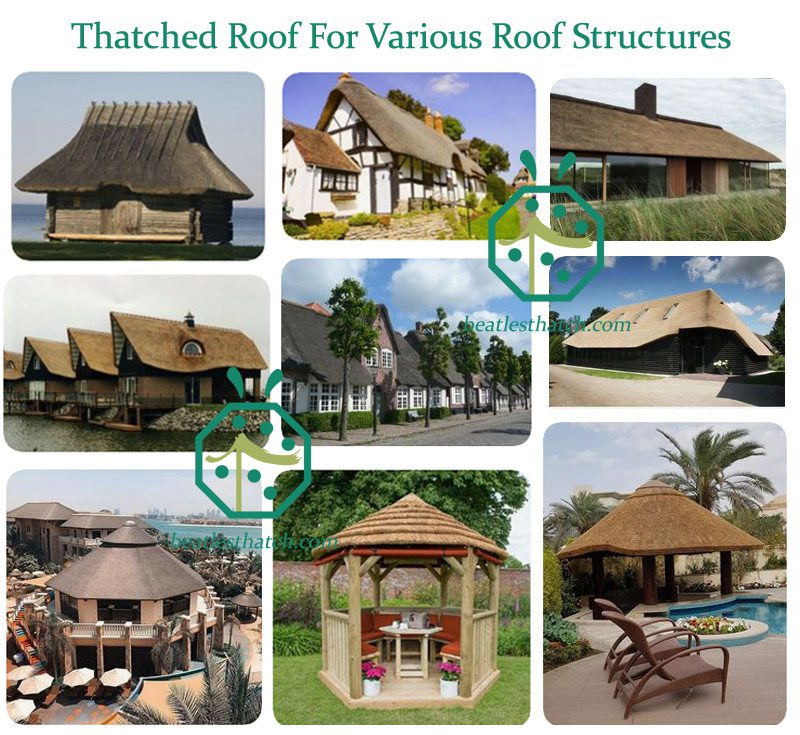 Thatched Roof For Various Roof Structures