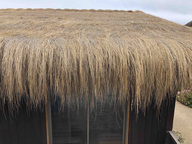 Coiron Thatched Roof in Chile