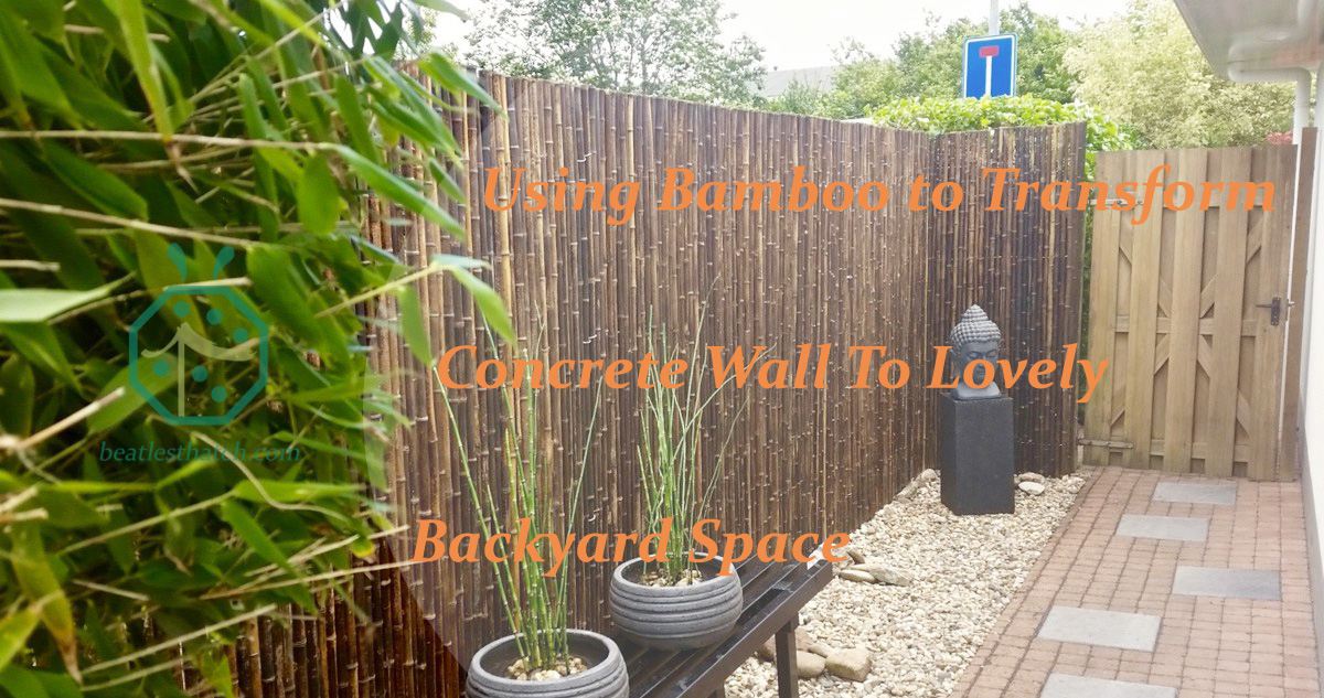 Use plastic bamboo to transform concrete wall to lovely backyard space