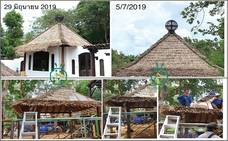 Installation de toit de chaume en fibre pour la construction de maisons de cabane en rondins de jardin d'hôtel de villégiature