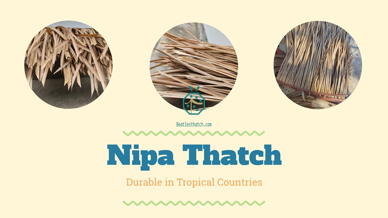 Synthetic banana leaf thatch for waterfront park landscape design