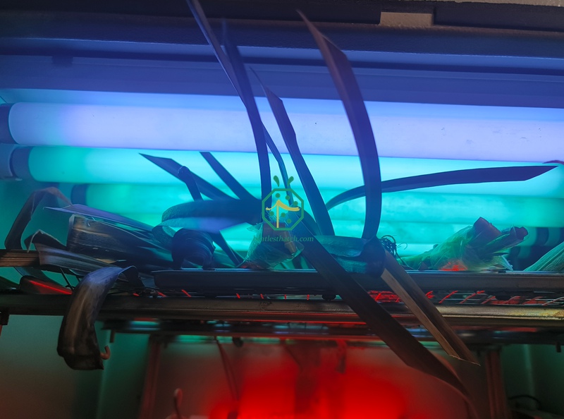 UV-Proof Test Equipment for Synthetic Viva Palm Tree Thatch Roof