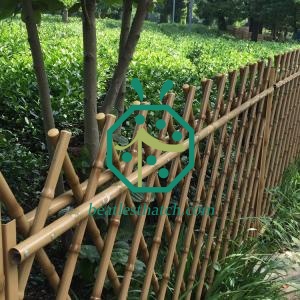 Iron bamboo fencing France