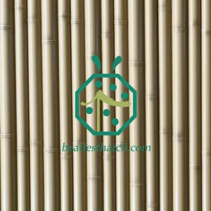 Printemps Chaud Simulé Bambou Clôture De Protection