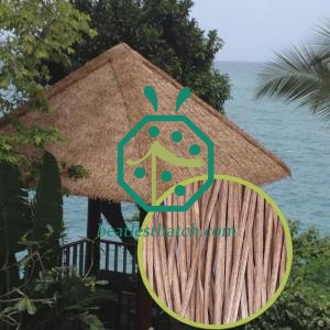 Chaume synthétique des Maldives pour l'hôtel Beach Resort
