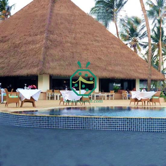 Luxury Resort Hotel Kribi Villa Guestroom Synthetic Thatch Roof Designs Cameroon