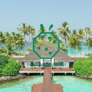 Conceptions de toit de chaume synthétique Palapa