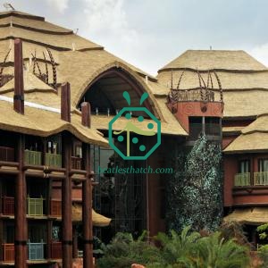 African reed thatch