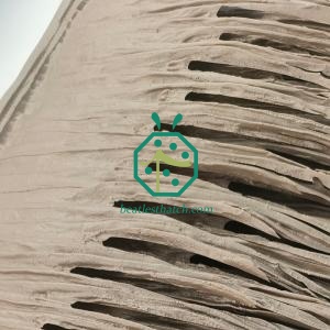 Couverture de toit en chaume de palmier synthétique de qualité supérieure en gros pour l'exportation