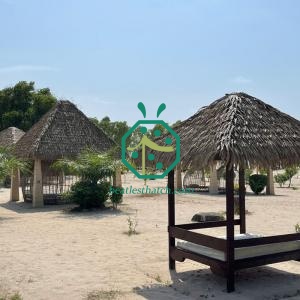 Toiture de chaume de palmier imperméable et résistante aux intempéries pour les destinations pittoresques de Palau