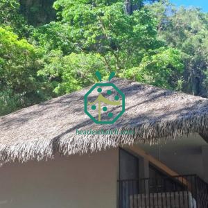 Toiture en chaume plastique ignifugée | Solution économique pour cabane tiki