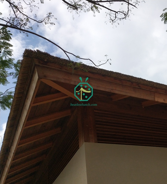 Projet de toiture en chaume artificiel pour patio d'hôtel au bord de l'eau