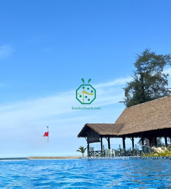 Toit de chaume synthétique Attap Cottage en Malaisie
