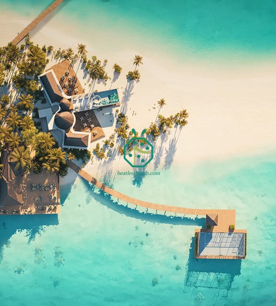 Décoration de toit imitation chaume de cadjan pour le pavillon d'arrivée aux Maldives