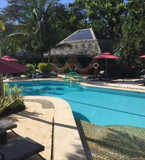 Costa Rica chalet synthétique toit de chaume dans la forêt tropicale