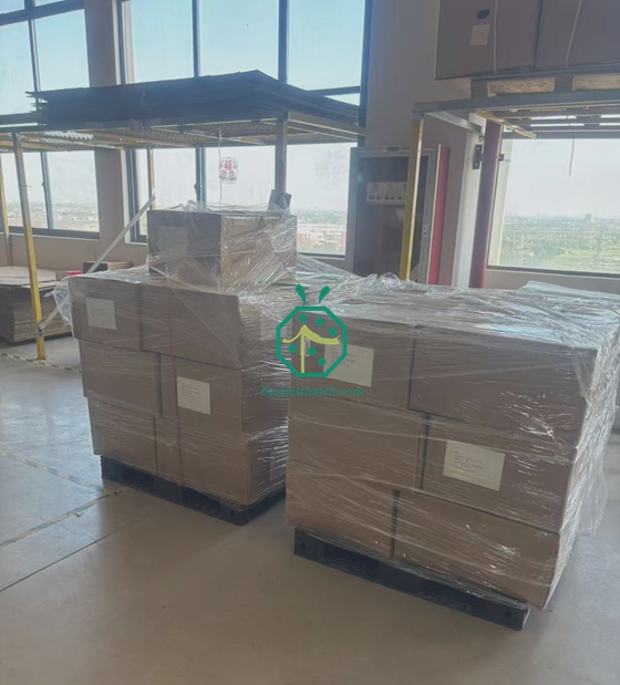 Expéditions de toitures en fibre de verre et de brise-vues pour les îles des Seychelles