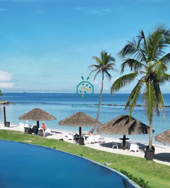 Projet de complexe hôtelier à Panama Beach mené à bien