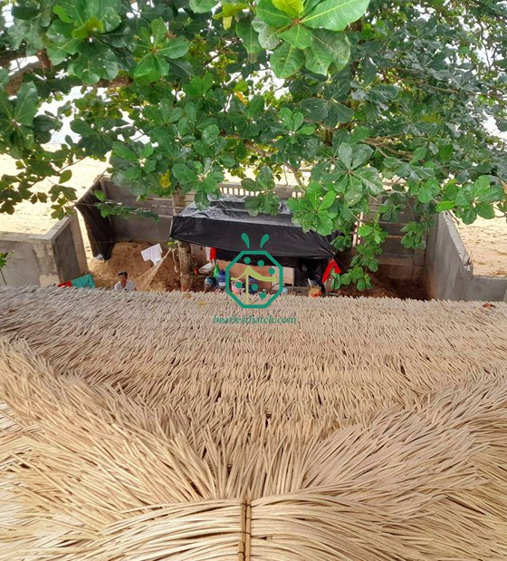 Bâtiments à toit de chaume synthétique Nipa de Cebu