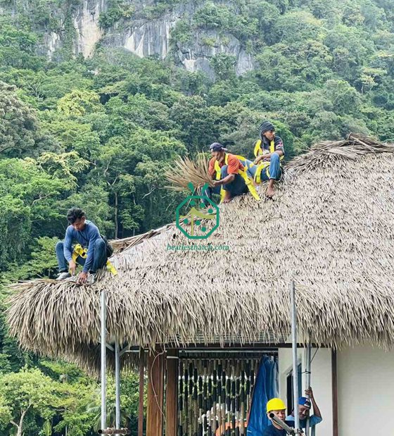 Construction d'une hutte Nipa ignifuge au toit de chaume aux Philippines