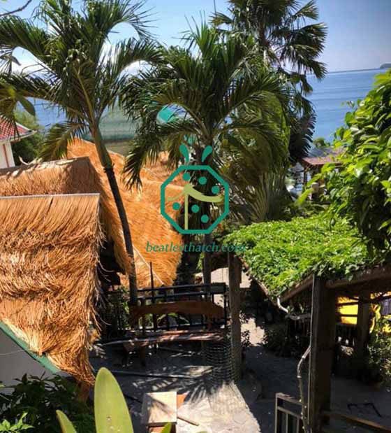 toiture en chaume de paille synthétique pour centre de plongée à batangas aux philippines