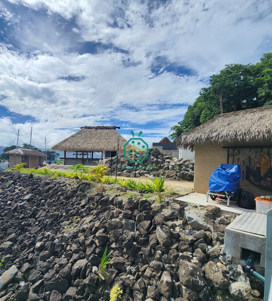 Construction d'une maison sur l'île Fidji avec des panneaux de chaume synthétique