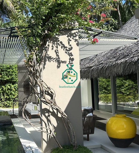 Toiture en chaume Cadjan en plastique pour jardin des Maldives