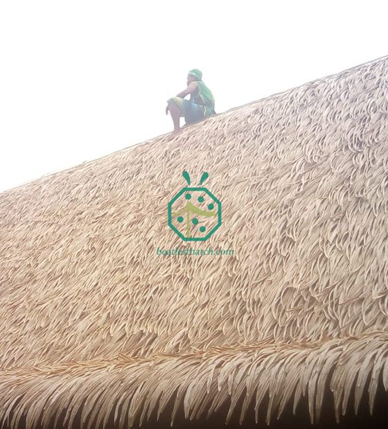 Projet de toiture en chaume de palmier artificiel du pays d'Océanie